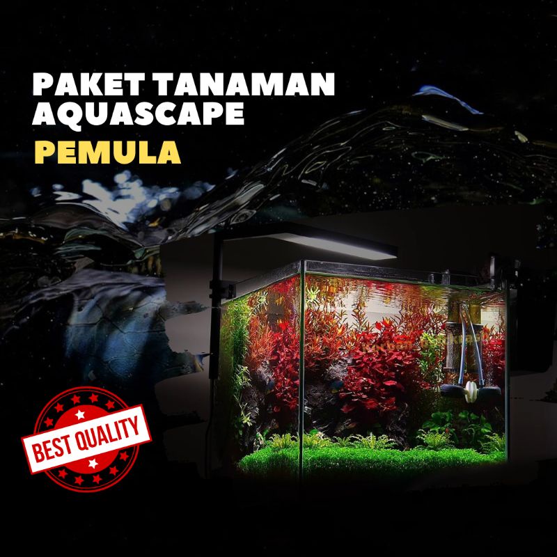 Paket Aquascape Low Tech Pemula - Tanaman Aquarium