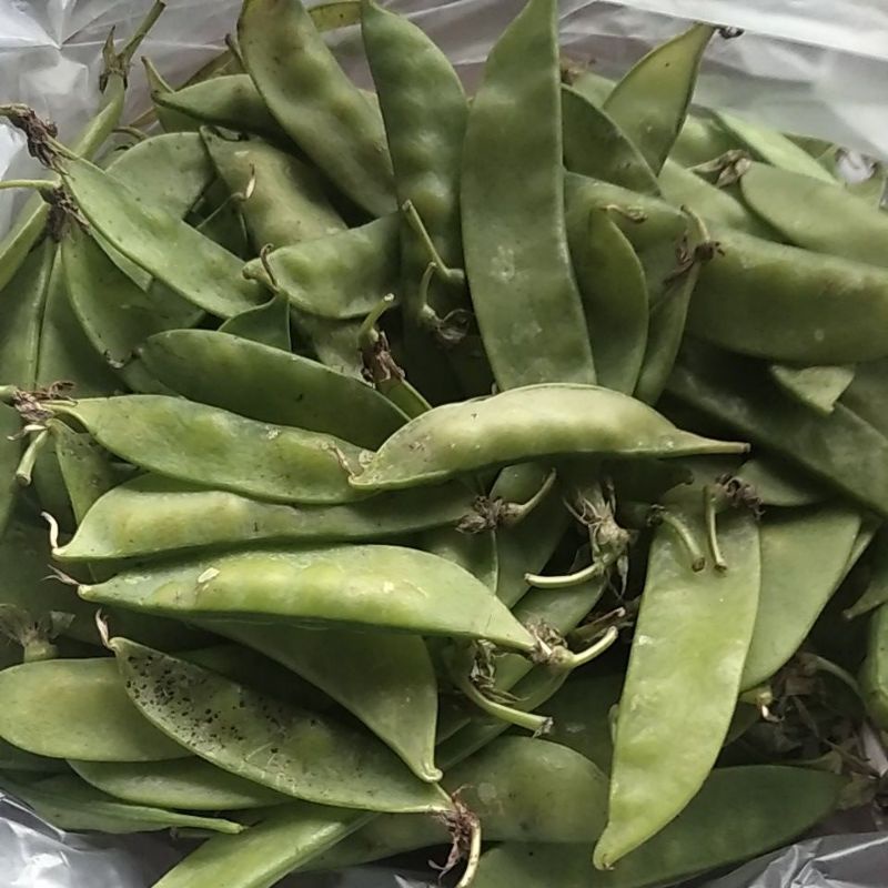 

Kacang Kapri / Arcis / Ercis manis segar 250 gram