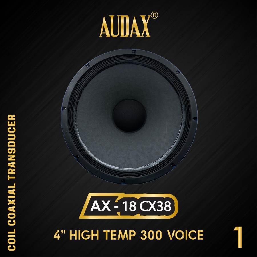 Audax - Speaker Pasif 18" AX-18 CX38 Coaxial Transducer