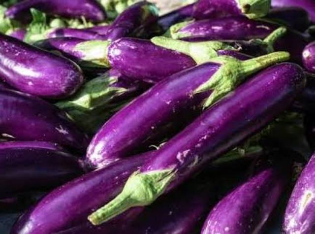 Harga Terung Dan Timun Anjlok Senator Riri Prihatin Radar Bengkulu Online