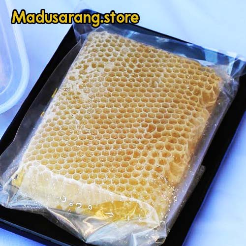 Sarang Lebah Melifera