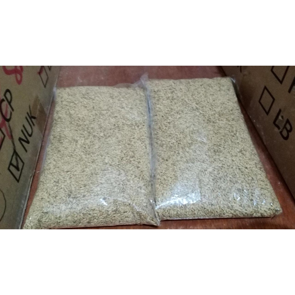 GABAH BANGKOK UNTUK LOVEBIRD AYAM PETARUNG PERKUTUT 1KG