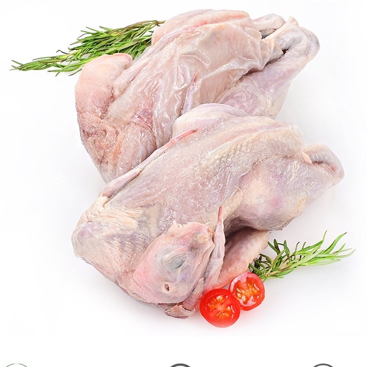 

Paket Ayam Kampung Organik Beku 0.7 - 0.8 Kg ( 2 ekor )