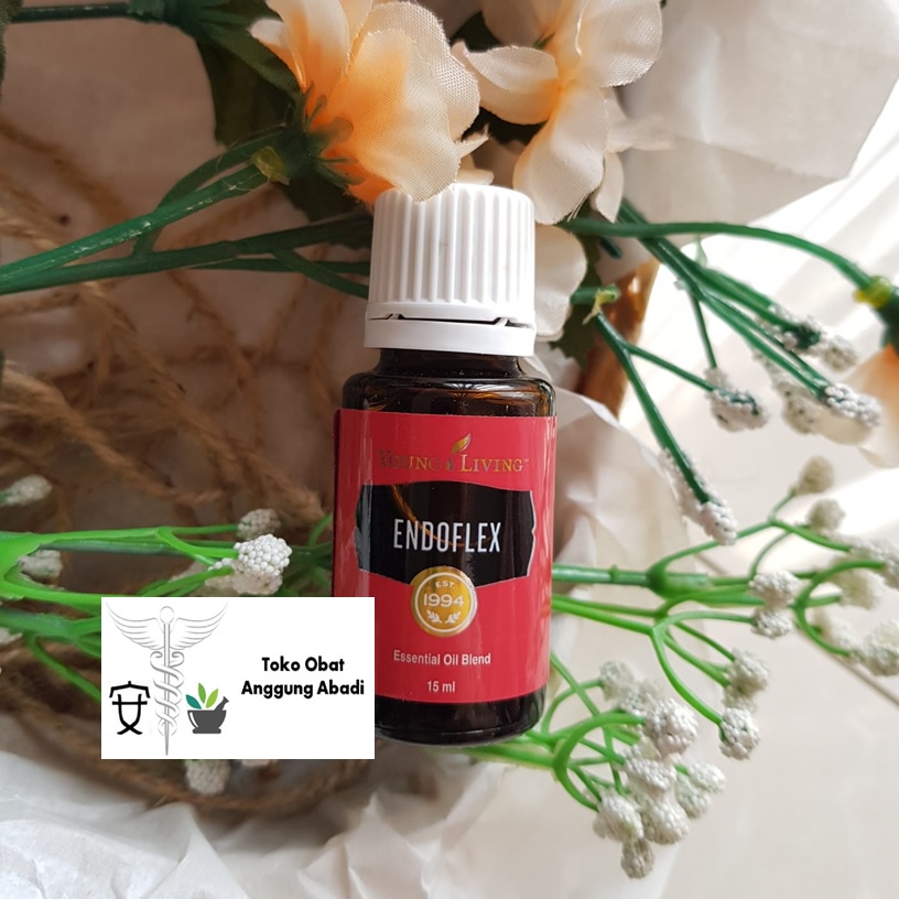 YL Minyak Esensial / Essential Oil Endoflex 15ML SEGEL