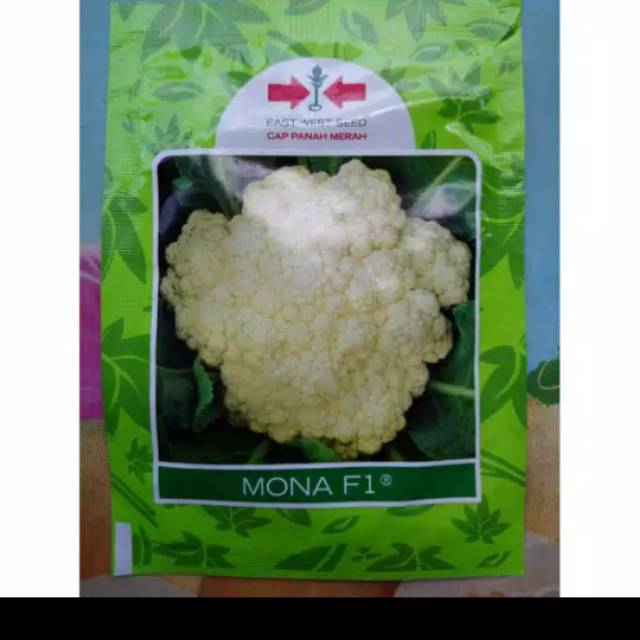 Benih Bunga Kol MONA F1 10gr