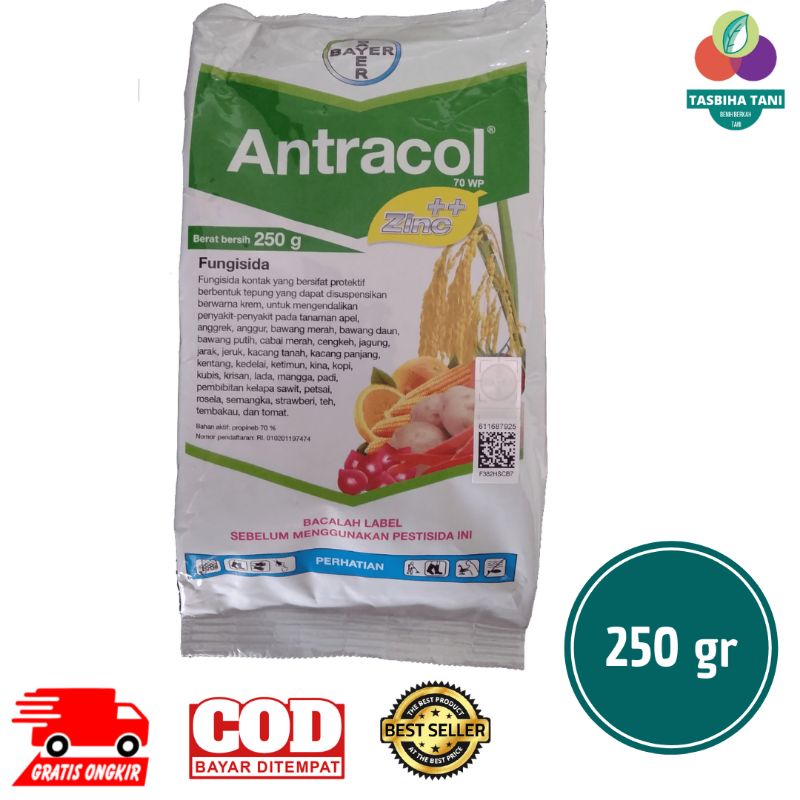 fungisida Antracol 250 gram bahan aktif propinep
