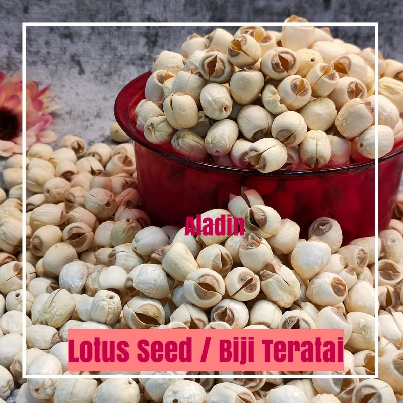 

Lotus SeedNo.1/ Biji Teratai 250gr