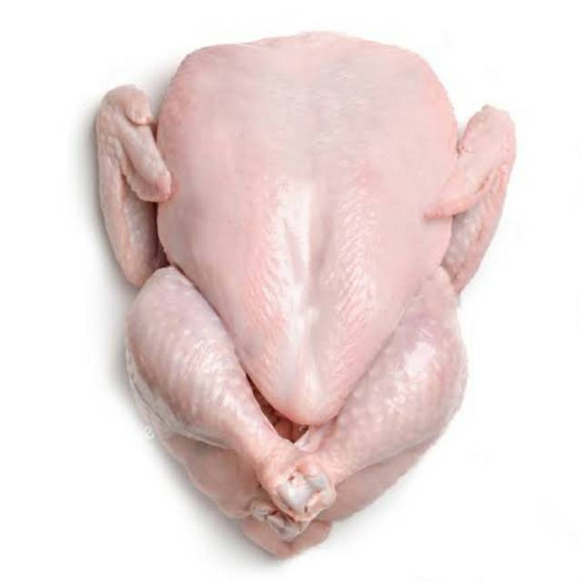 

Ayam karkas ukuran 0,9kg
