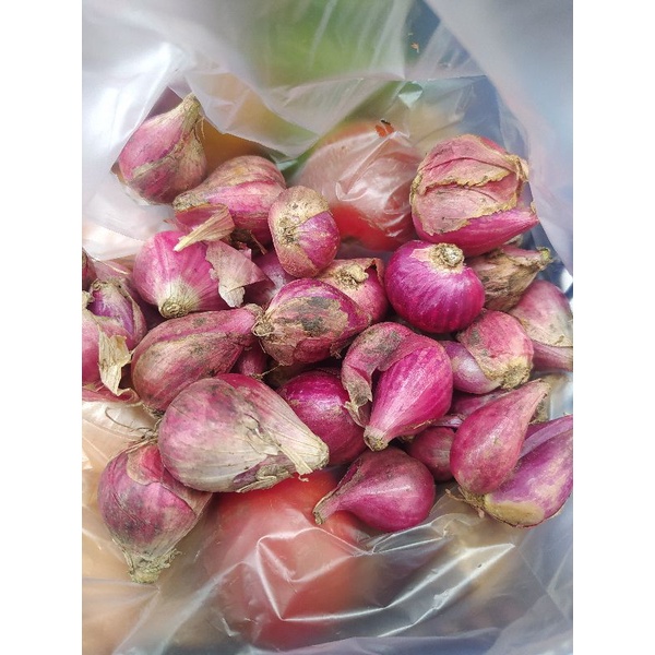 

Bawang Merah Brebes Asli Super Gede(Pilihan)250g