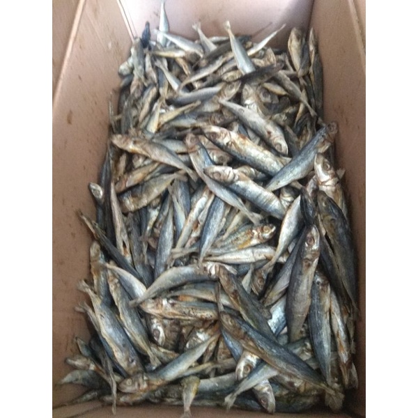

ikan asin klotok 100g-1 kg / 7.000-60.000