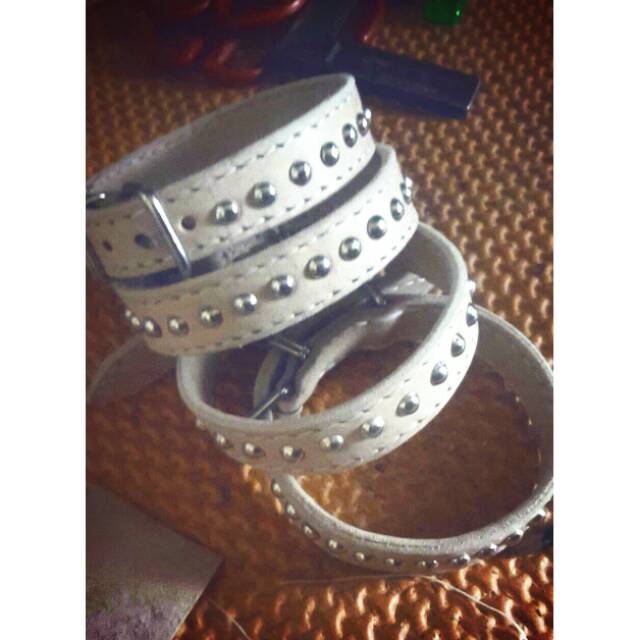 Collar / kalung anjing kampung