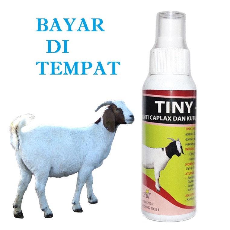 OBAT KUTU KAMBING TERMURAH TINY K OBAT KAMBING ANTI CAPLAK PARASIT AMPUH