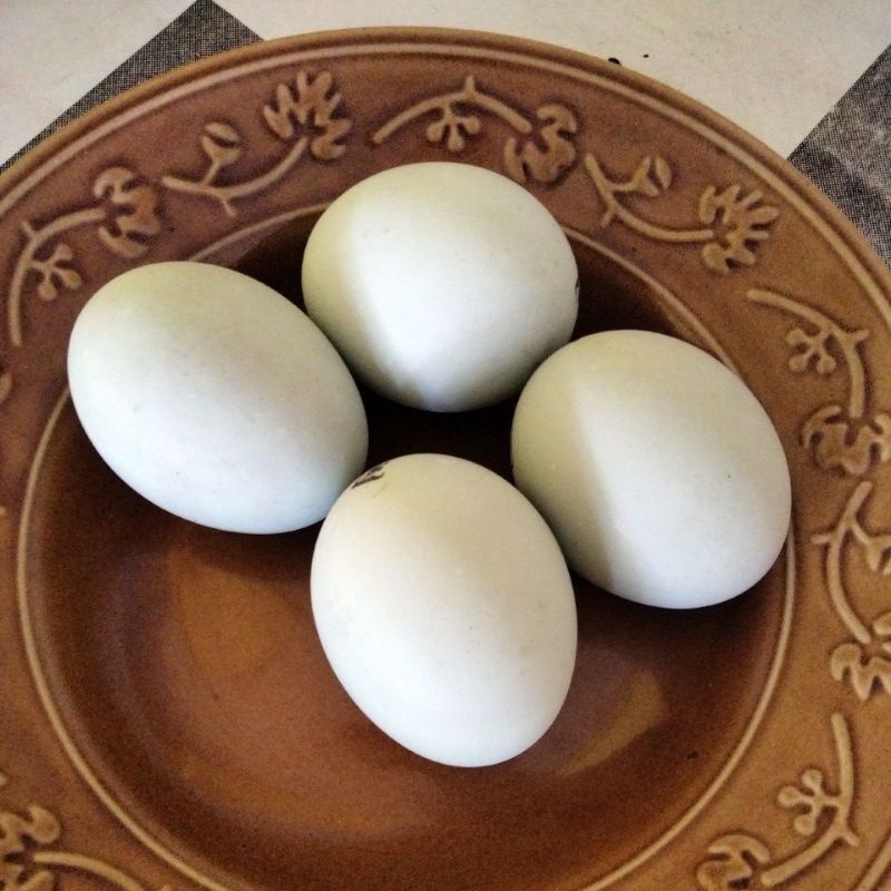

Telor Asin matang