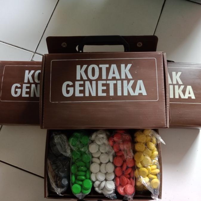 

[COD] Kotak kancing genetika 5 warna [COD]
