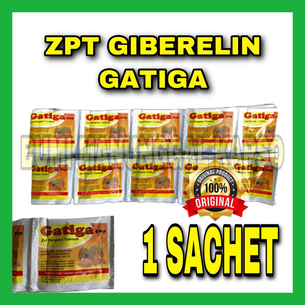 ZPT GIBERELIN GATIGA 5WP