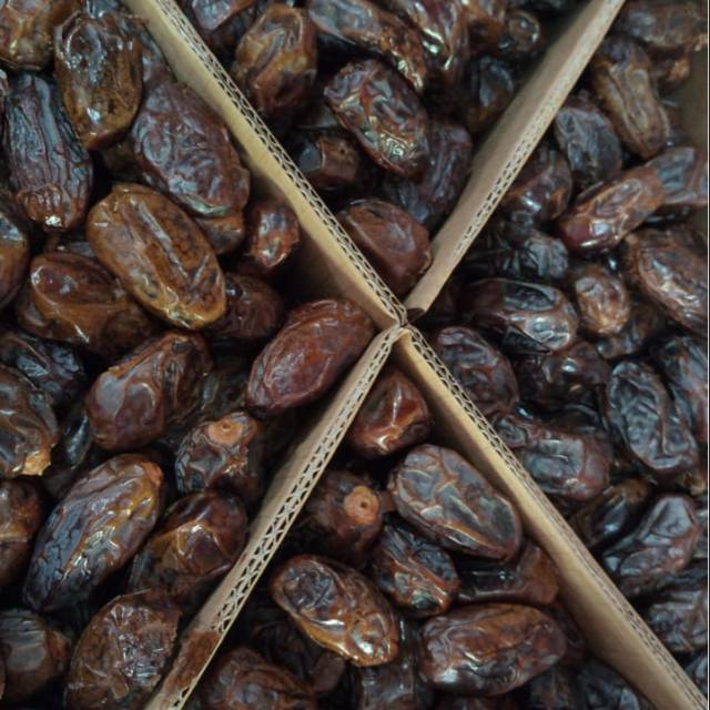 

Kurma Medjol Palestine JUMBO
