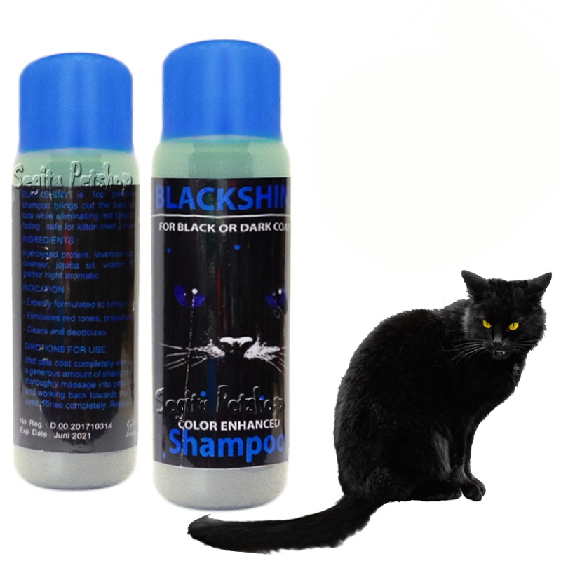 SAMPO KUCING BULU HITAM BLACK CAT PENGHILANG NODA BLACKSHINY