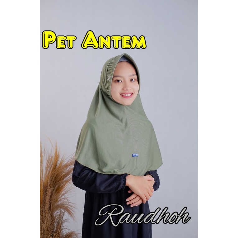 JILBAB PET/HIJAB ANTEM PET/KERUDUNG TANPA PET/KRUDUNG KAOS TANPA PET/HIJAB TANPA PET/HIJAB INSTAN/HI