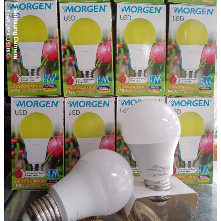 Lampu Buah Naga LED Morgen Dragon Fruit 9W MG-DF06 IP56 ~ Untuk Budi Daya Buah Naga