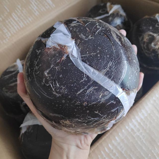 

GULA BATOK LINGGAU ASLI PALEMBANG (COCOK UTK CUKO PEMPEK)