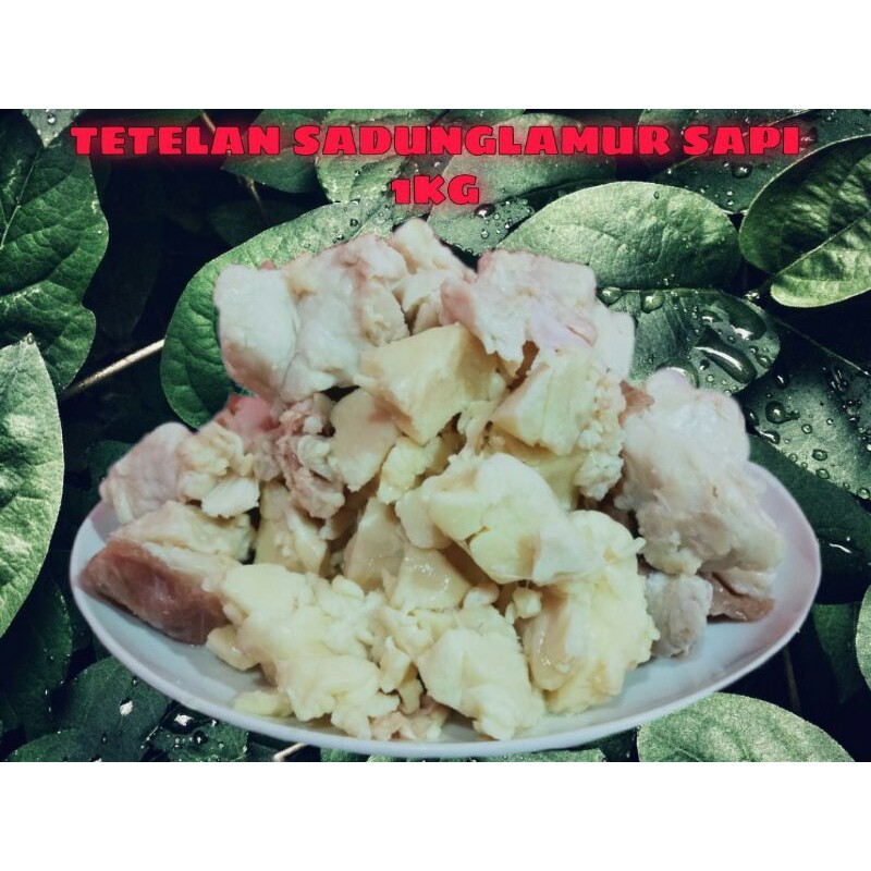

tetelan Sandung Lamur
