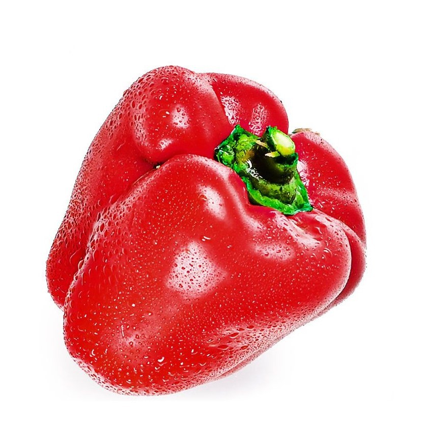 Jual Paprika Merah Segar Organik Shopee Indonesia