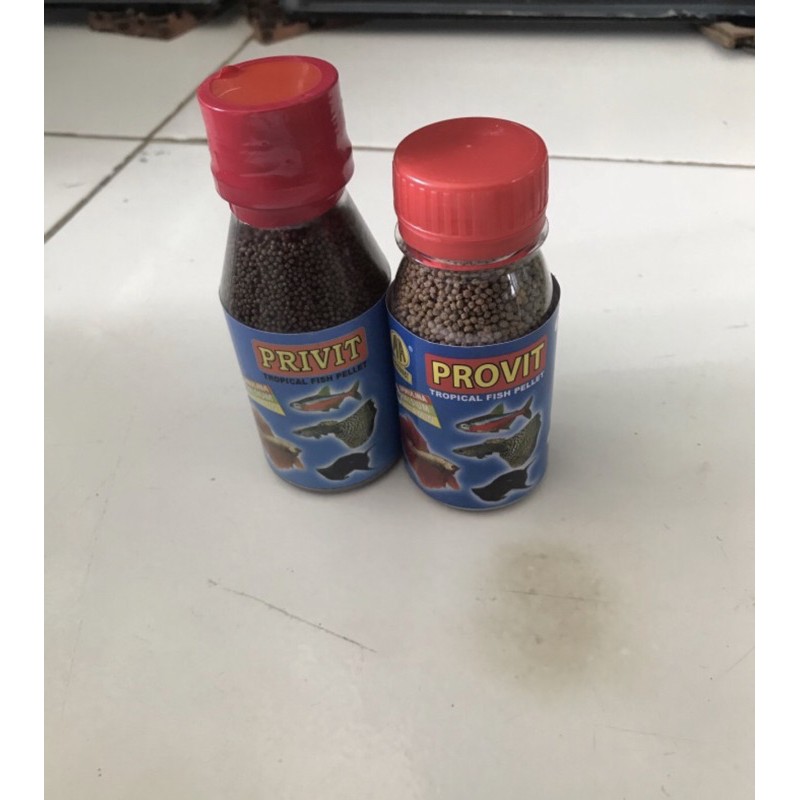 PAKAN IKAN CUPANG DAN IKAN HIAS KECIL (PRIVIT/PROVIT)