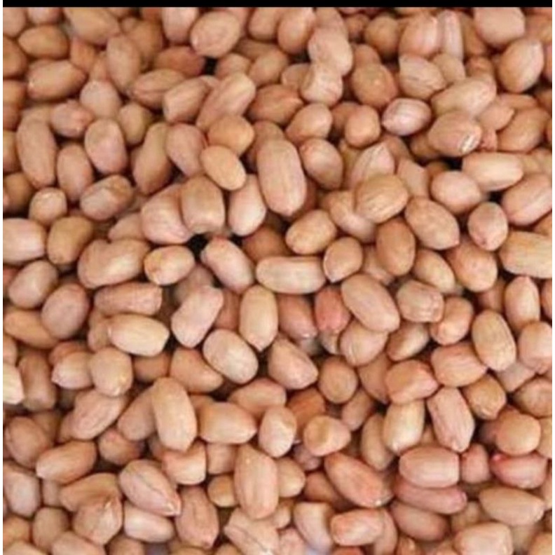 

1 kg BENIH KACANG TANAH SUPER