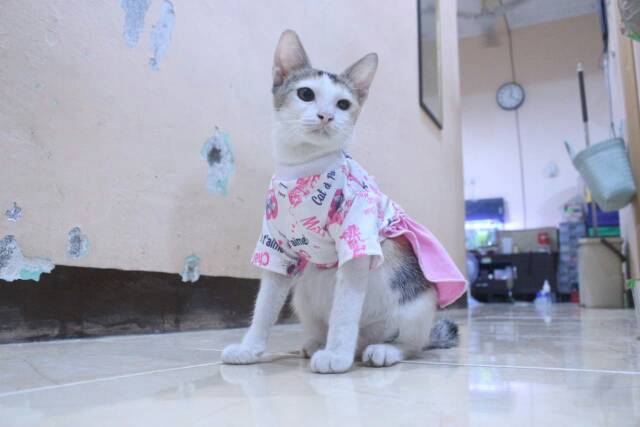 Dress bahan kaos kitty pink lucu untuk kucing dan anjing / baju kucing tangerang murah size S M L XL