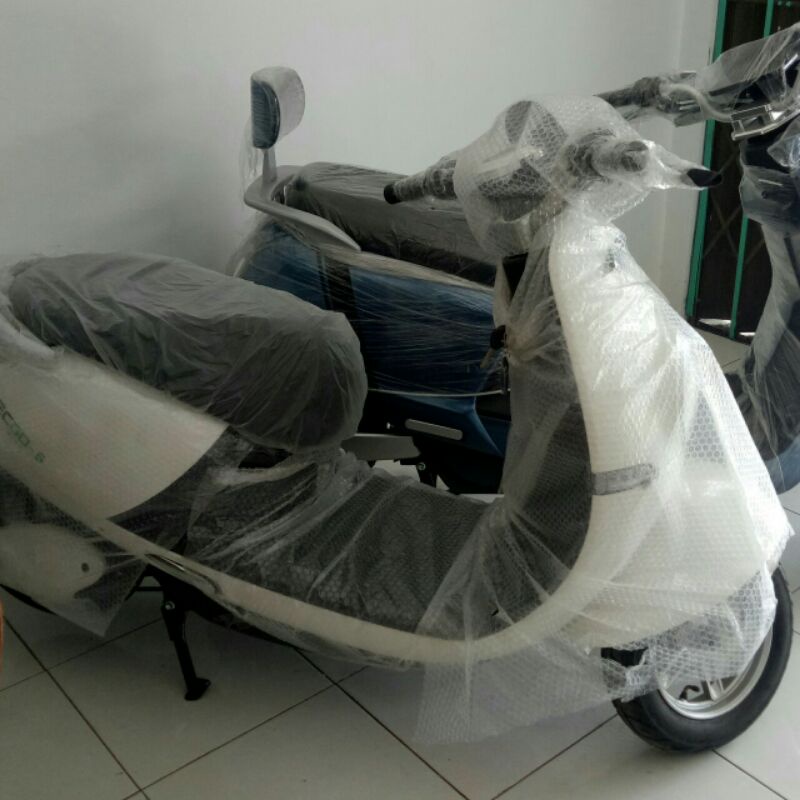 Motor Listrik Ecgo 5