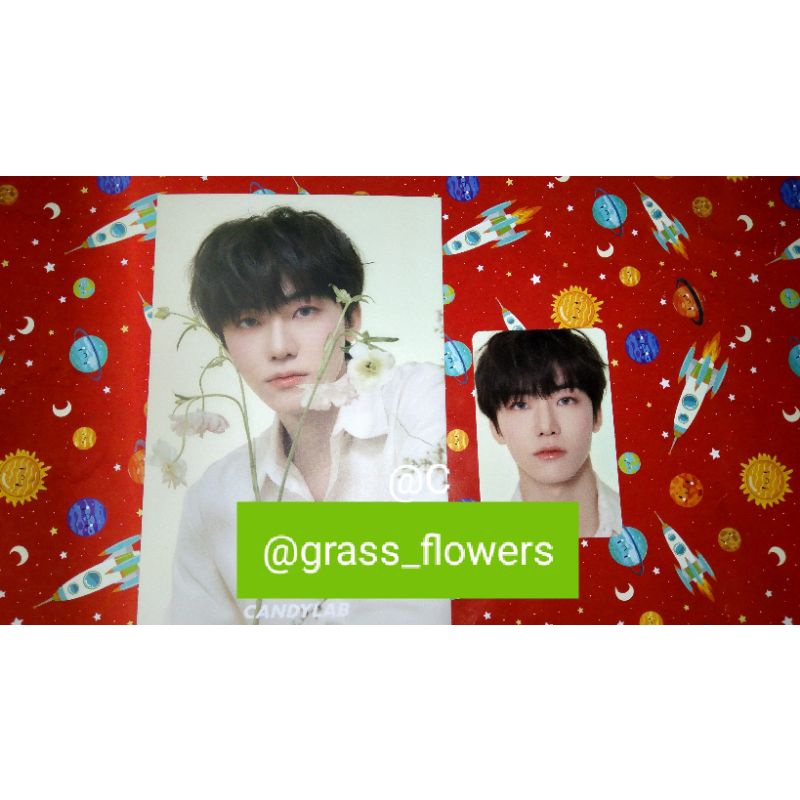PHOTOCARD NCT DREAM CANDYLAB V4 (Renjun, Jaemin, Jisung)