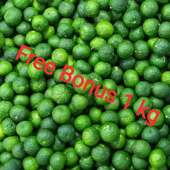 

Jeruk Limau | Jeruk Limo + Gratis Bonus