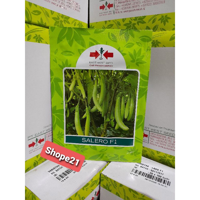 Benih Terong Hijau Salero f1 isi 5 gram