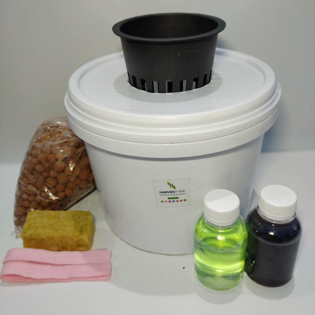 MINI DUTCH BUCKET HIDROPONIK