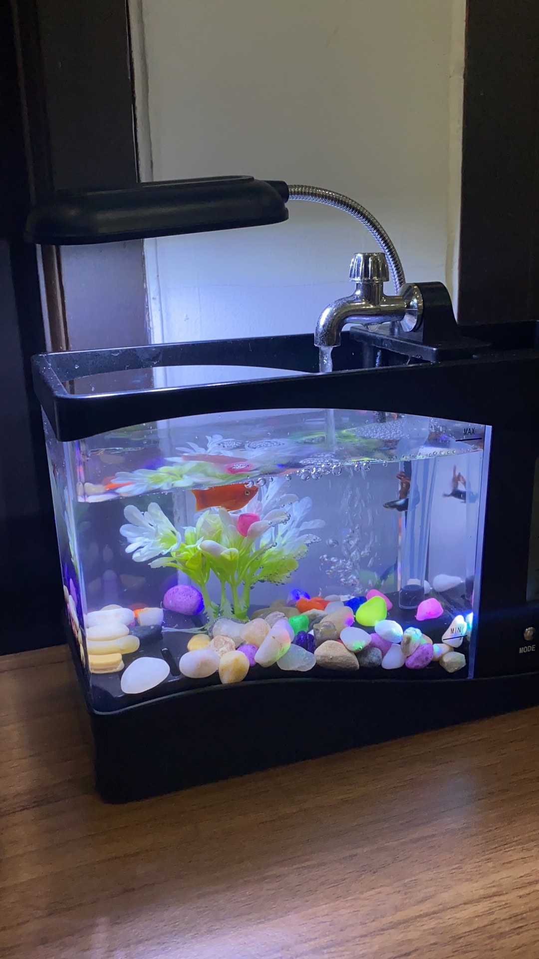 Aquarium / Aquarium Cupang - Aquarium Mini Block with  