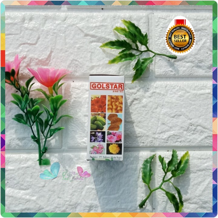 Sekarganes Golstar 30 Ml 250 Sc Pupuk Zpt Mempercepat Bunga Buah Mangga Kelengkeng Bukan Gold Star