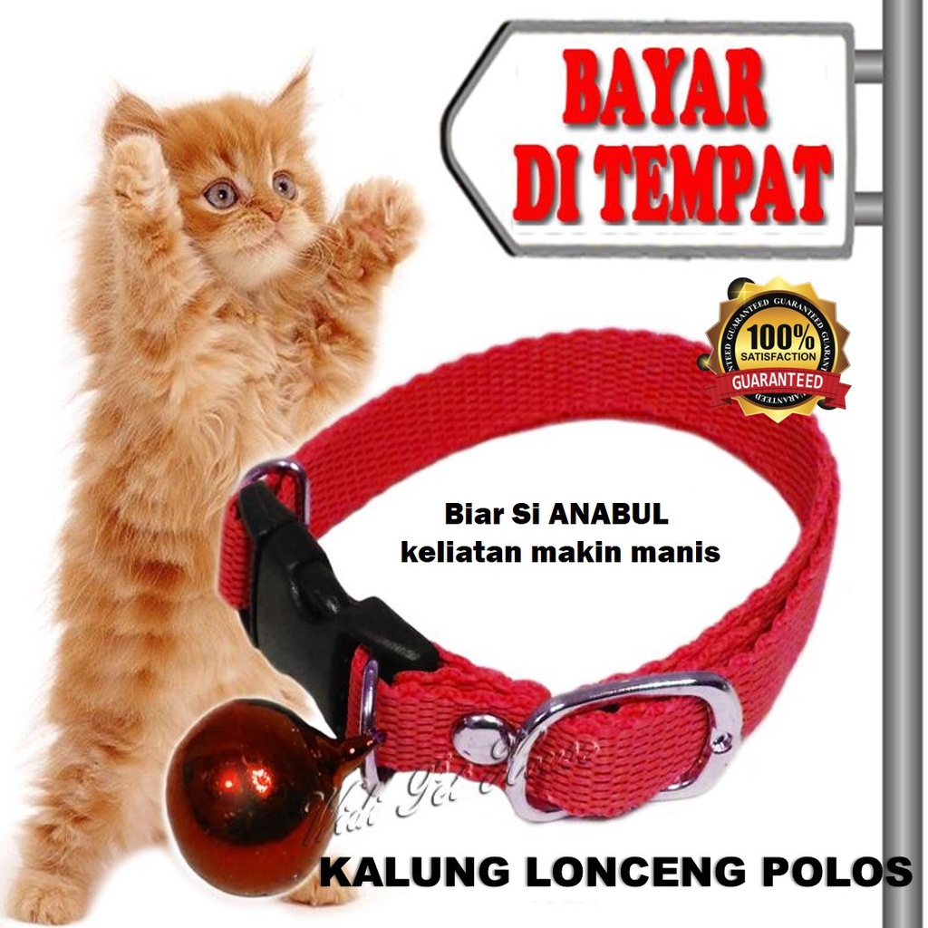 Kalung Kucing Lonceng / Kalung Kucing Murah / Kalung Lonceng Kiteng