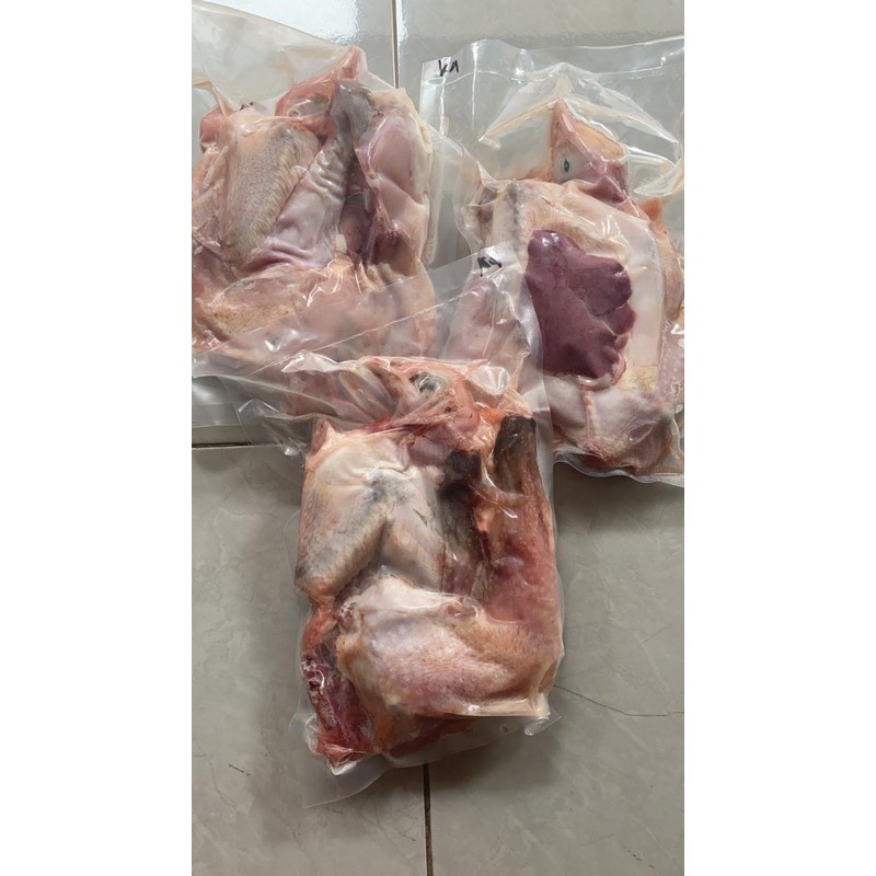 

paket 3 ekor ayam kampung potong