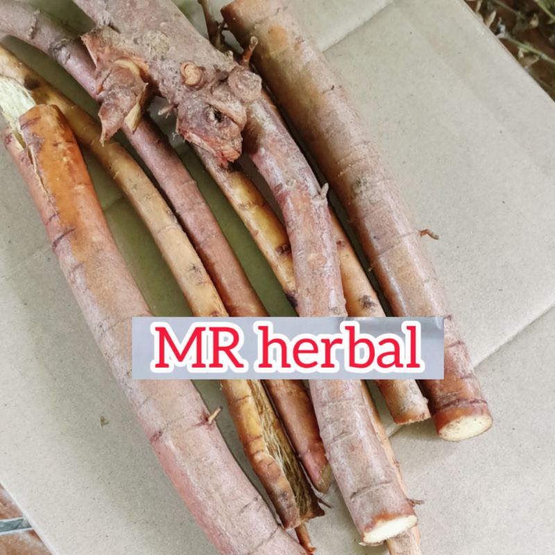 

Akar tuba atau akar Kawao fres segar per 250 gram