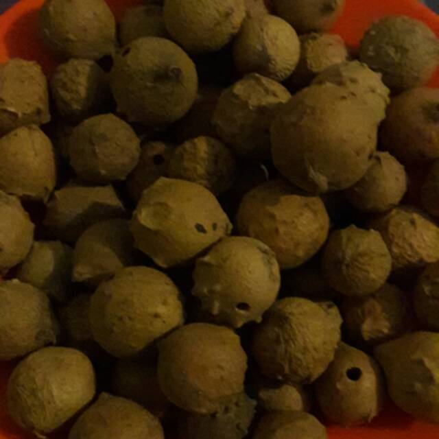 

BUAH MANJAKANI 2 KG