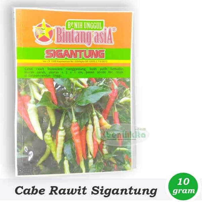 Benih/Bibit Cabe Rawit Besar Sigantung (Bintang Asia)