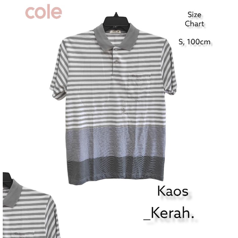 Kaos Kerah Walrus Kaos Polo Pria Dewasa  Kaos Pria Dewasa Kaos Warlus Original Terlaris