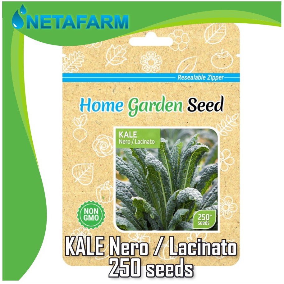 Benih / bibit / biji KALE Nero Lacinato 250 Seeds - Home Garden Seed