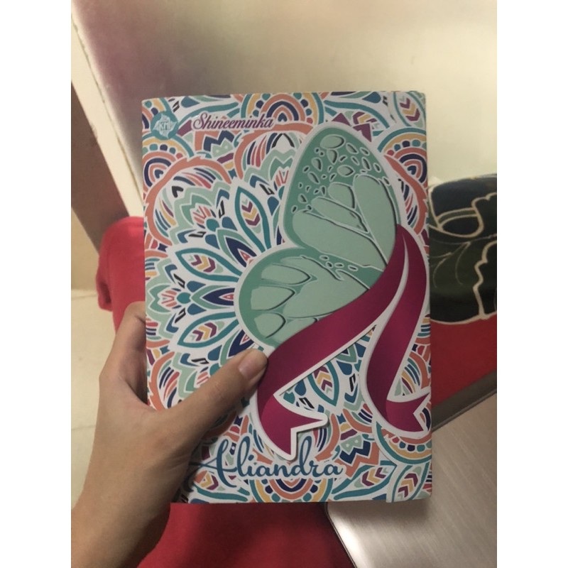 novel bekas aliandra shineeminka