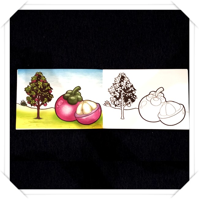 Buku Mewarnai Anak Tk Paud Kreasi Mewarnai Buah Buahan Shopee Indonesia