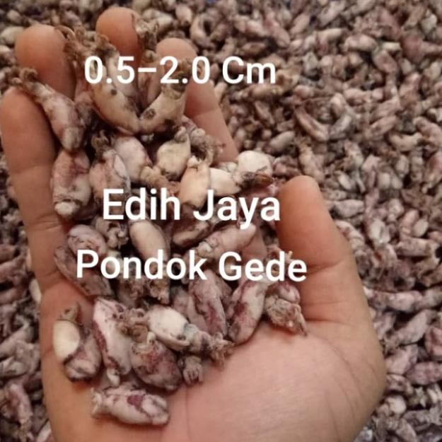 

♤ Cumi Baby Asin Super Kering Netto 250 Gram ➨