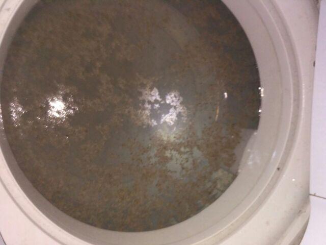 Agabang Putto Houzz Washing Machine Cleaner