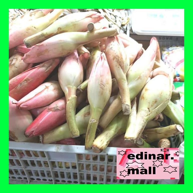 

50Siusbu Kecombrang/Bunga Rias 1Kg Bud050S
