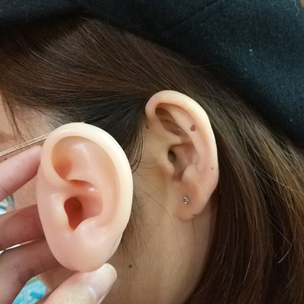 Alat Tindik Latihan Profesional Anting Giwang - Alat Bantu Mengajar Model Telinga Manusia Palsu