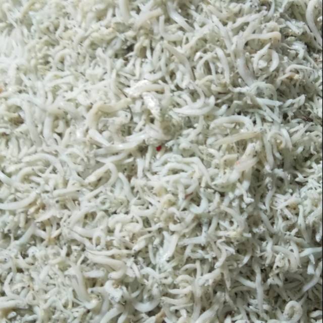 

Teri Medan